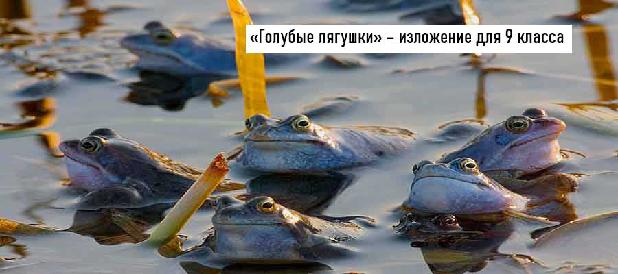 Текст изложения «Голубые лягушки» – Русский язык – 9 класс