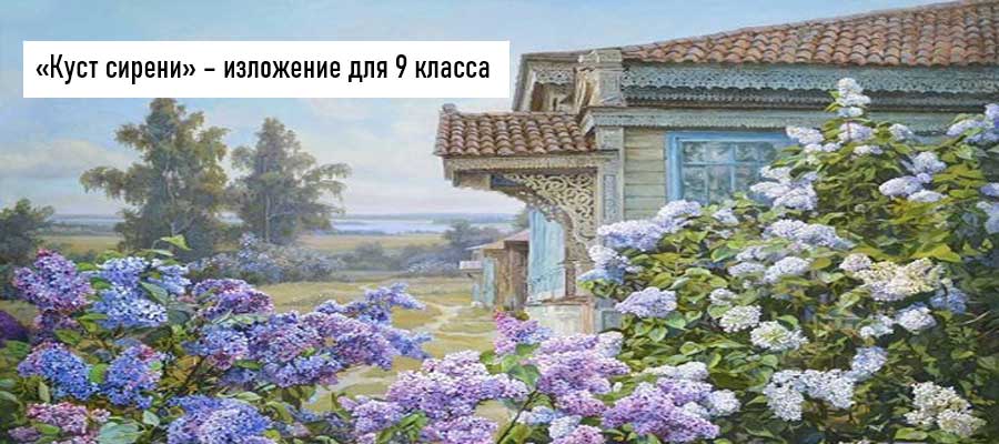 Текст изложения «Куст сирени» – Русский язык – 9 класс